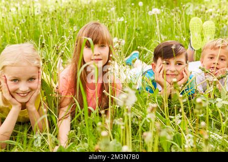 Porträt glücklicher multirassischer Kinder, die im Sommer inmitten von Löwenzahn-Pflanzen im Park liegen Stockfoto