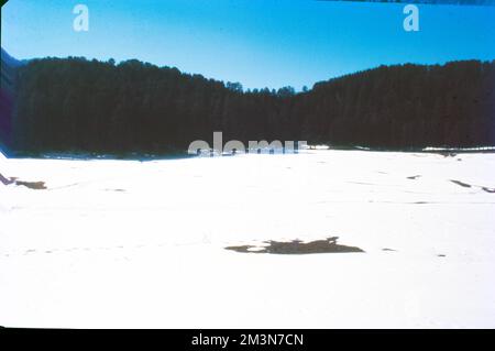 Schnee bildet sich, wenn winzige Eiskristalle in Wolken zu Schneeflocken zusammenkleben. Wenn genug Kristalle zusammenhalten, werden sie schwer genug, um auf den Boden zu fallen. Schneeflocken, die durch feuchte Luft, die etwas wärmer als 0 °C ist, absinken, schmelzen an den Rändern und kleben zusammen, um große Flocken zu erzeugen. Stockfoto