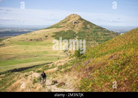 Indische (südasiatische) Frau, die allein in den North Yorkshire Moors wandert, mit Roseberry Topping im Hintergrund. Yorkshire, England, Großbritannien Stockfoto