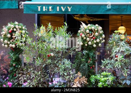 Das Ivy Soho Brasserie Restaurant mit Weihnachtsdekorationen Kranz, Pflanzen in Töpfen draußen auf der Broadwick Street London England 2022 KATHY DEWITT Stockfoto