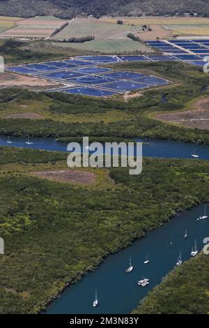 332 Segel- und Motorboote, die im Hintergrund in Packers Creek-MeeresAquakulturanlagen festgemacht wurden. Port Douglas-Australien. Stockfoto