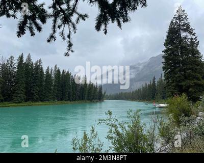 Ein malerischer Blick auf den Bow River, umgeben von üppigen grünen Wäldern an nebligen Tagen in Kanada Stockfoto