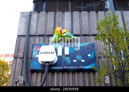 Weihnachten Carnaby Riesen Wandstecker und Steckdose Street Art mit zwei Vögeln in der Nähe Carnaby Street London England 2022. Dezember Großbritannien Stockfoto