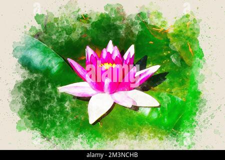Aquarellmalerei einer rosa Lotusblume oder einer Wasserlilie auf grünem Hintergrund. Stockfoto