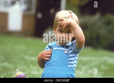 Prinz William von Wales, am 12.. Juni 1984 fotografiert, neun Tage vor seinem zweiten Geburtstag. William, jetzt ist Herzog von Cambridge der älteste Sohn des Prinzen von Wales und der verstorbenen Diana, Prinzessin von Wales. Datum: 1984 Stockfoto