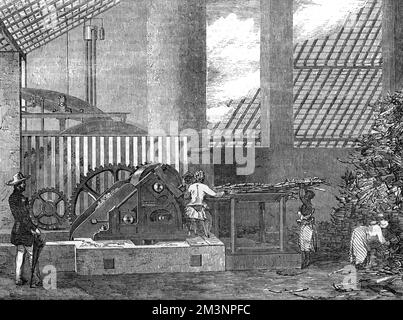 De Mornays Patent-Zuckerfabrik, Brasilien 1854 Stockfoto