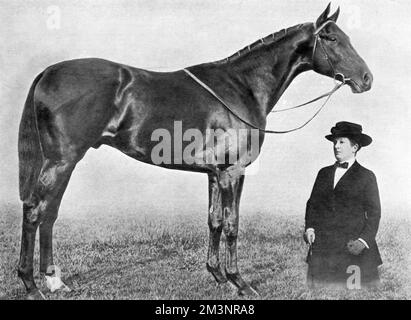 Das britische Vollblüter-Rennpferd „Gainsborough“ im Besitz von Lady James Douglas gewann 1918 die englische Triple Crown. Dieser Sieg war das erste Mal, dass ein Pferd, das von einer Frau gezüchtet wurde, eines der britischen Klassiker gewann. Datum: 1918 Stockfoto