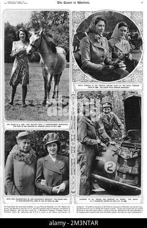 Seite aus der illustrierten London News Krönungsnummer mit Fotos von Prinzessin Elizabeth (Königin Elizabeth II) im Zweiten Weltkrieg Auf dem Bild oben links posiert sie 1944 mit einem vollblütigen norwegischen Dun-Pony auf der Koppel im Windsor Castle, oben rechts zeigt sie sie zusammen mit ihrer Schwester Prinzessin Margaret im privaten Fahrkurs bei der Royal Windsor Show 1945. Unten rechts zeigt sie die Wartung ihrer Lernmaschine im ATS in 1945 und unten links, abgebildet mit ihrer Großmutter Queen Mary zu ihrem achtzehnten Geburtstag am 21. 1944. April. Datum: 1940er Stockfoto