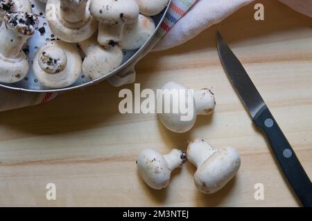 Flache Lage mit einigen weißen Pilzen, die auf einem Holzbrett geschnitten werden sollen, mit Hilfe eines Spitzenmessers Stockfoto