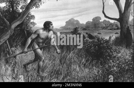 Piltdown man, wie es sich der illustrierte Sonderkünstler Amedee Forestier der London News vorgestellt hat, kurz nachdem die Entdeckung der Knochen im Jahr 1912 veröffentlicht wurde. Die spektakuläre Entdeckung wurde 1953 als ausgeklügelter Schwindel entlarvt. Sie wurde als fehlende Verbindung zwischen Mensch und Affe angesehen. Stockfoto
