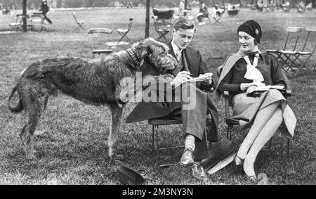 Mr. Und Mrs. Bryan Guinness mit ihrem irischen Wolfshund Stockfoto