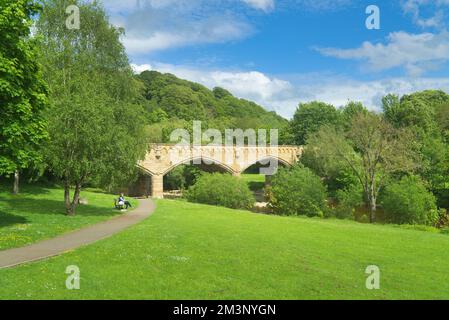 Der Fluss Swale fließt durch Richmond und blickt flussabwärts über den Batts Park nach Westen zur Road Bridge (A6136) , Richmond, North Yorkshire England UK Stockfoto