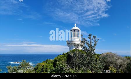 Der Sugarloaf Point Lighthouse in Seal Rocks, Australien, ist von Grün und Meer umgeben Stockfoto