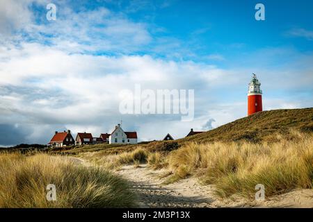 Der Leuchtturm der Insel texel in holland Stockfoto