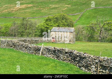 Blick nach Norden über Ackerland am Fluss Swaledale, zwischen Gunnerside und Muker, wunderschöne Scheune und trockene Steinmauern, berühmte Muster. Neben r Stockfoto