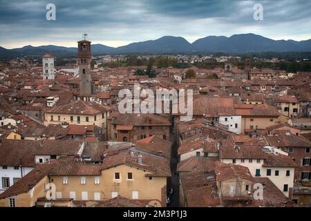 Blick auf die Stadt vom Guinigi-Turm, Lucca in der Toskana, Italien Stockfoto