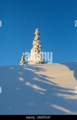 Wunderschöne Winterlandschaft mit schneebedeckten Bäumen. Frostige Bäume bei warmem Sonnenlicht. Wundervolle winterliche Landschaft Stockfoto