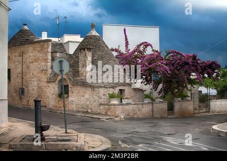 Trulli-Häuser in Alberobello, Apulien, Italien Stockfoto