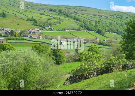 Nach Süden über Swaledale, bei Gunnerside. Scheunen und trockene Steinwände berühmte Muster. Am Fluss Swale, von B6270; Yorkshire Dales National Park Stockfoto