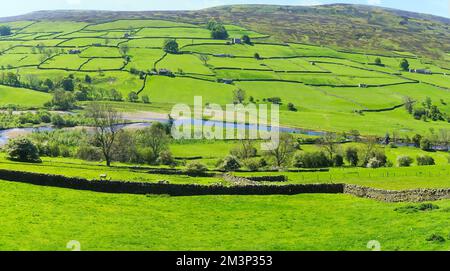 Panoramablick nach Süden über Swaledale und den Fluss Swale, vom Dorf Reeth, in der Nähe von Richmond, North Yorkshire, England, Großbritannien Stockfoto