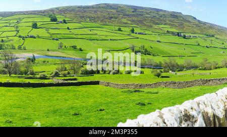 Panoramablick nach Süden über Swaledale und den Fluss Swale, vom Dorf Reeth, in der Nähe von Richmond, North Yorkshire, England, Großbritannien Stockfoto