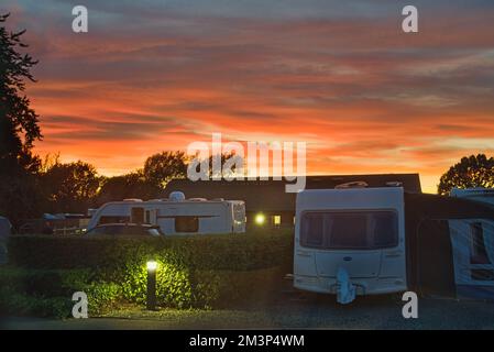 Die Kelpies mit leuchtenden und bunten Wildblumen auf Forth und Clyde Canal Bank. Helix Public Park, Falkirk, Stirlingshire, Central, Schottland, UK Stockfoto