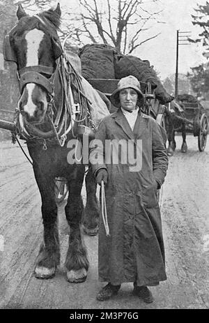 Lady mit Karthorse und Kohle, 1. Weltkrieg Stockfoto