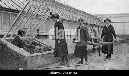 Frauen arbeiten in den Gewächshäusern von Windsor, 1. Weltkrieg Stockfoto