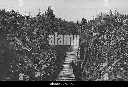 Ein Kommunikationsgraben in Blüte, 1. Weltkrieg Stockfoto