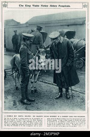 König George V begleitete Queen Mary und Prinzessin Mary beim Besuch des Royal Victoria Military Hospital in Netley, nahe Southampton, erweitert und genutzt vom Roten Kreuz während des Ersten Weltkriegs. George V. streichelte einen der Esel, die benutzt wurden, um konvaleszente Soldaten für Reitfahrten mitzunehmen. Stockfoto