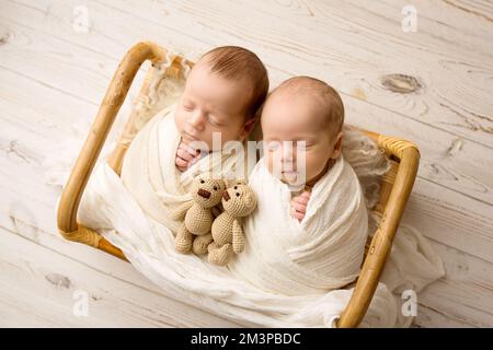 Winzige neugeborene Zwillingsjungen in weißen Kokons in einem Holzkorb mit Bärenspielzeug. Stockfoto