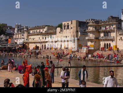 Indische Pilger im Barhama-See und Badegurken, Rajasthan, Pushkar, Indien Stockfoto