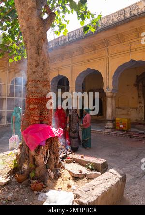 Rajasthani-Frauen beten im Galtaji-Tempel, auch bekannt als Affentempel, Rajasthan, Jaipur, Indien Stockfoto