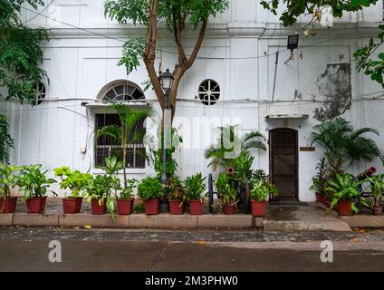 Altes Kolonialhaus im french Quarter, Pondicherry, Puducherry, Indien Stockfoto