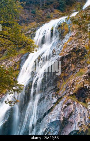 Ein vertikales Bild des Powerscourt Wasserfalls im Herbst in Portlaoise, County Laois, Irland Stockfoto