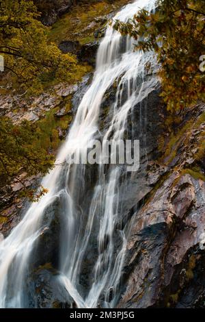 Ein vertikales Bild des Powerscourt Wasserfalls im Herbst in Portlaoise, County Laois, Irland Stockfoto