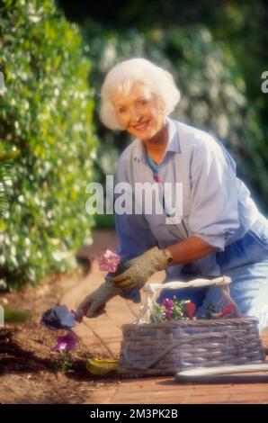 Ältere Frau, die pausiert, um zu sehen, während sie Blumen pflanzt Stockfoto