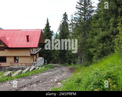 Ein schönes Holzhaus im Wald und eine Straße Stockfoto