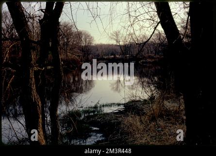 Rte. 27 Charles River an der Medfield-Sherborn-Grenze. Potenzieller Erholungsbereich: Außerhalb der RT. 16 Natick, Flüsse, Wälder. Fotos von Ernst Halberstadt Stockfoto