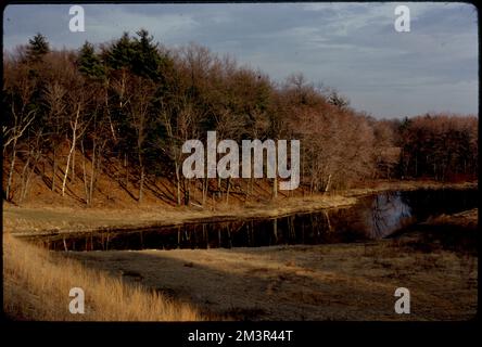 Rte. 27 Charles River an der Medfield-Sherborn-Grenze. Potenzieller Erholungsbereich: So. Westlich, Flüsse, Gräser, Wälder. Fotos von Ernst Halberstadt Stockfoto