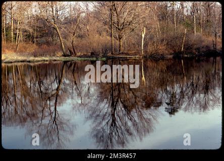 Rte. 27 Charles River an der Medfield-Sherborn-Grenze. Potenzieller Erholungsbereich: Außerhalb der RT. 16 Natick, Flüsse, Wälder. Fotos von Ernst Halberstadt Stockfoto