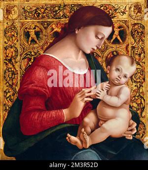 Luca Signorelli. Gemälde mit dem Titel "Madonna und Kind" des frühen italienischen Renaissance-Malers Luca Signorelli (ca. 1441/1445-1523), Öl und Gold auf Holz, c. 1505-07 Stockfoto