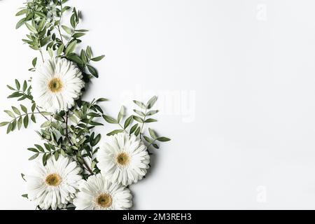 Draufsicht weiße Gänseblümchen. Auflösung und hochwertige Fotos Stockfoto