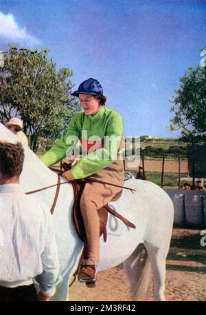Lady Ailce Egerton, die Hofdame von Prinzessin Elizabeth (Königin Elizabeth II), auf dem Pferd des Herzog von Edinburgh, Mystic, abgebildet, das sie beim Frauenrennen in einer Turnhalle im Marsa Club, Malta, ritt. Stellen Sie sich einen Teil eines Farbfotografiefenstes beim Besuch von Prinzessin Elizabeth auf der Insel Malta im Jahr 1950 vor. Datum: 1950 Stockfoto