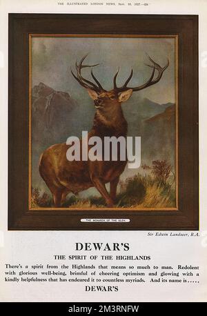 Dewars Werbespot - der Monarch der Schlucht Stockfoto