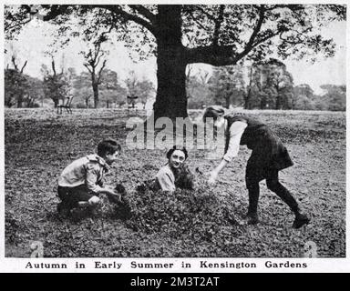 Herbst im Frühsommer, Kensington Gardens Stockfoto