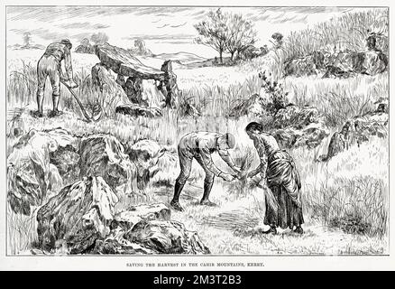 Rettung der Ernte in den Cahir Mountains, Kerry, Irland. Datum: 1886 Stockfoto