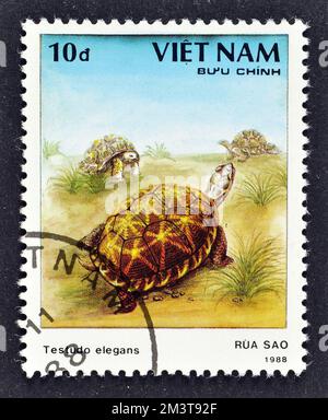 Stornierte Briefmarke, gedruckt von Vietnam, auf der die indische Sternschildkröte (Testudo elegans), ca. 1986, zu sehen ist. Stockfoto