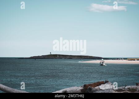 Ebbe in Fort Popham, Phippsburg, Maine Stockfoto