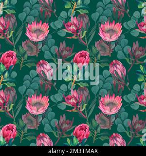 Wasserfarbenes, nahtloses Muster mit magentafarbenem protea, blühenden Blüten im Hintergrund und proteablättern. Stockfoto